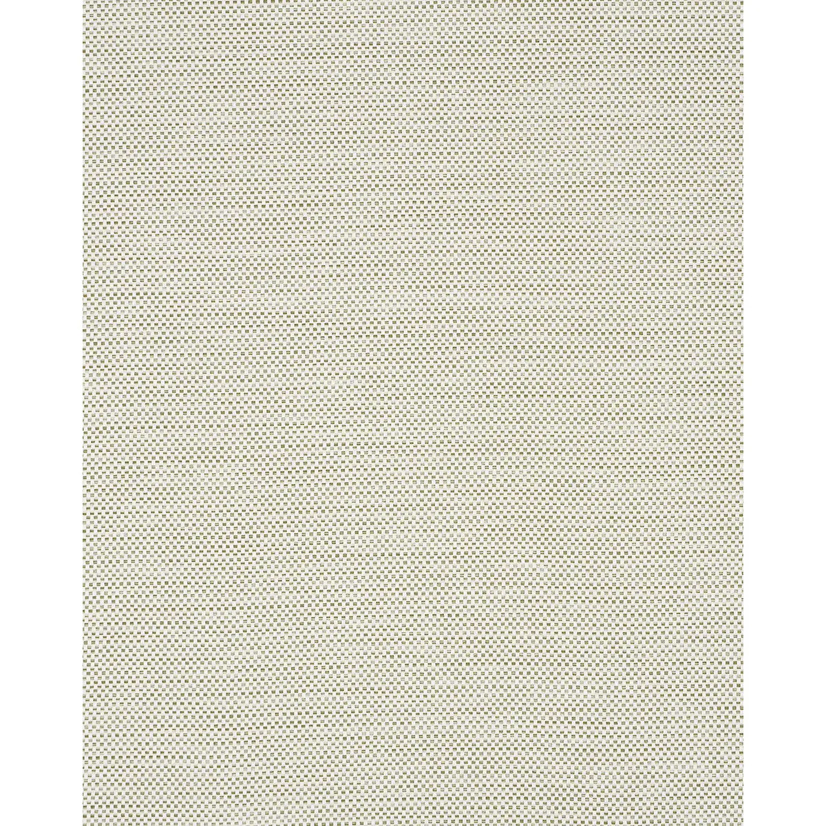 PACIFICA INDOOR/OUTDOOR_ FOREST