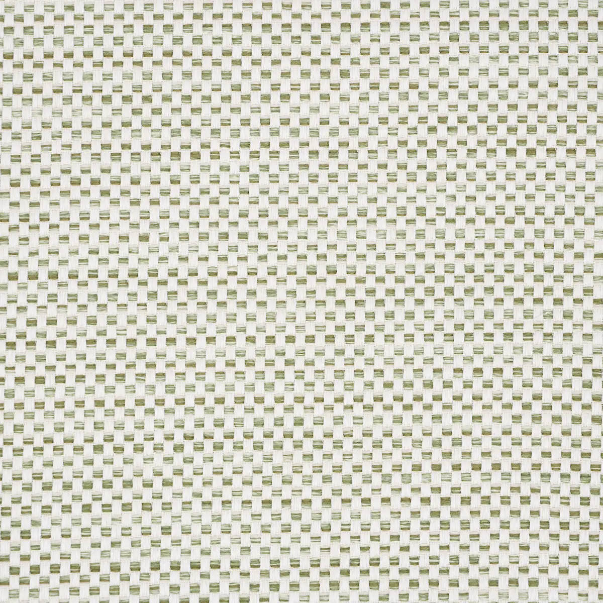 PACIFICA INDOOR/OUTDOOR_ FOREST