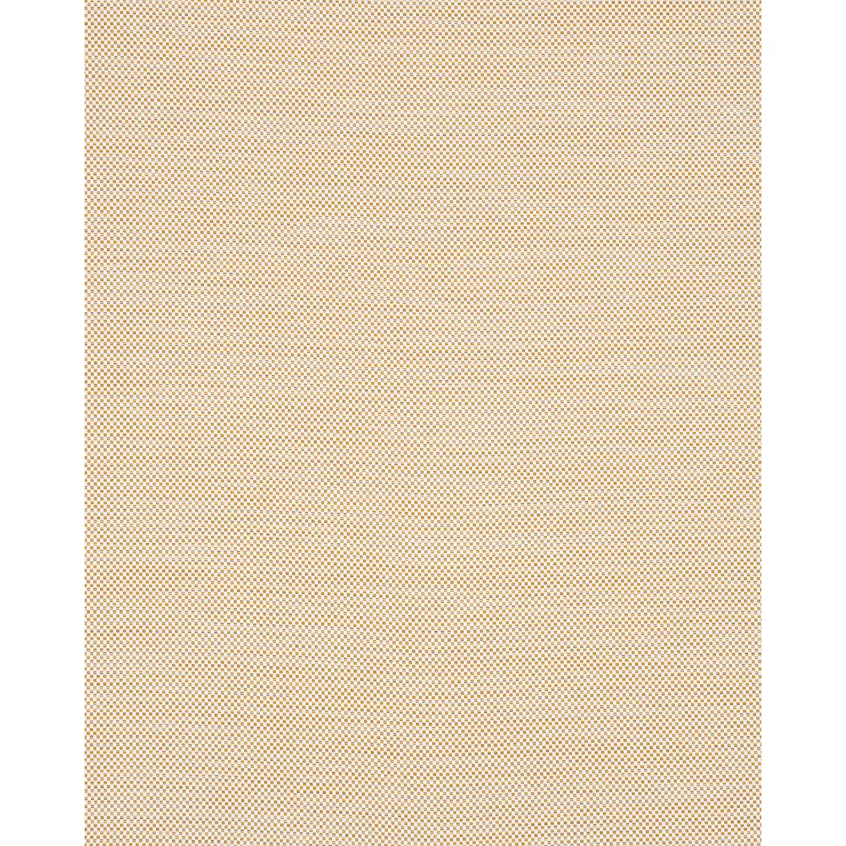 PACIFICA INDOOR/OUTDOOR_ MAIZE