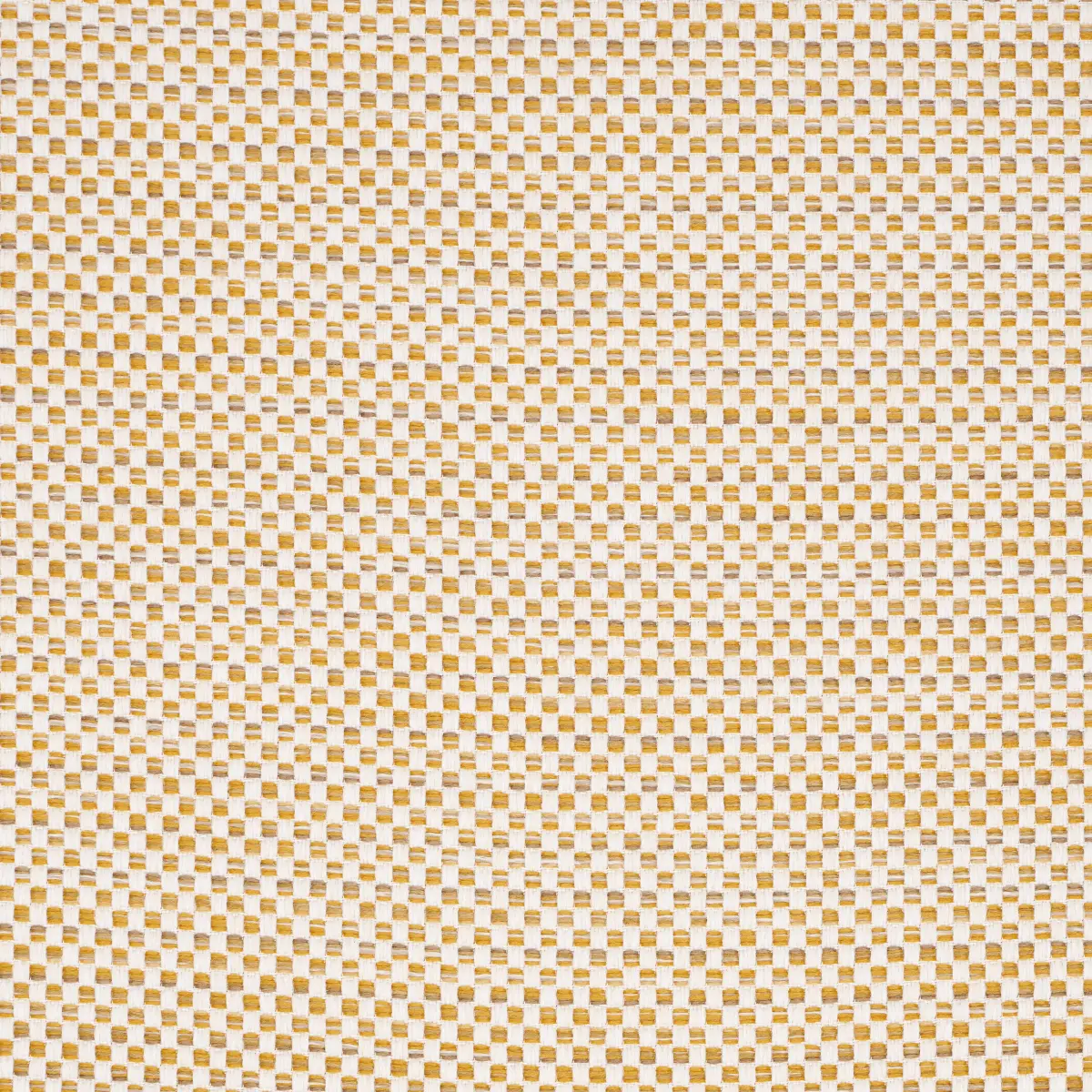PACIFICA INDOOR/OUTDOOR_ MAIZE