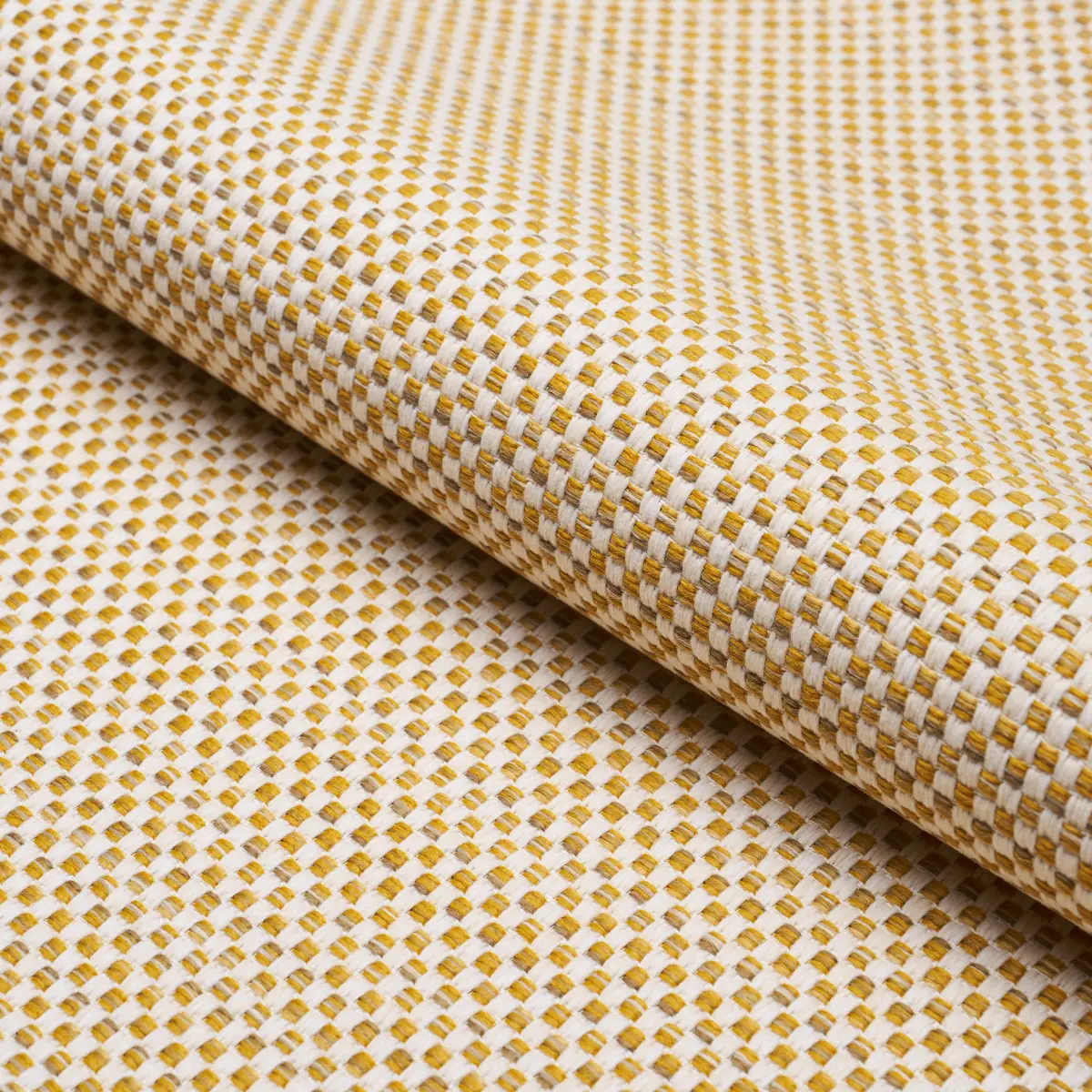 PACIFICA INDOOR/OUTDOOR_ MAIZE