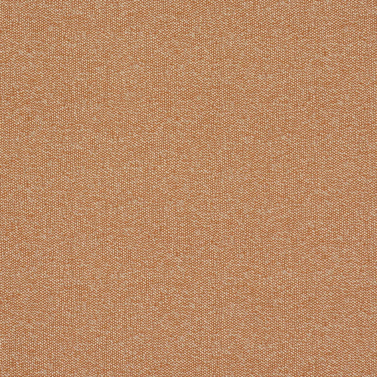 GUS INDOOR/OUTDOOR_ ORANGE