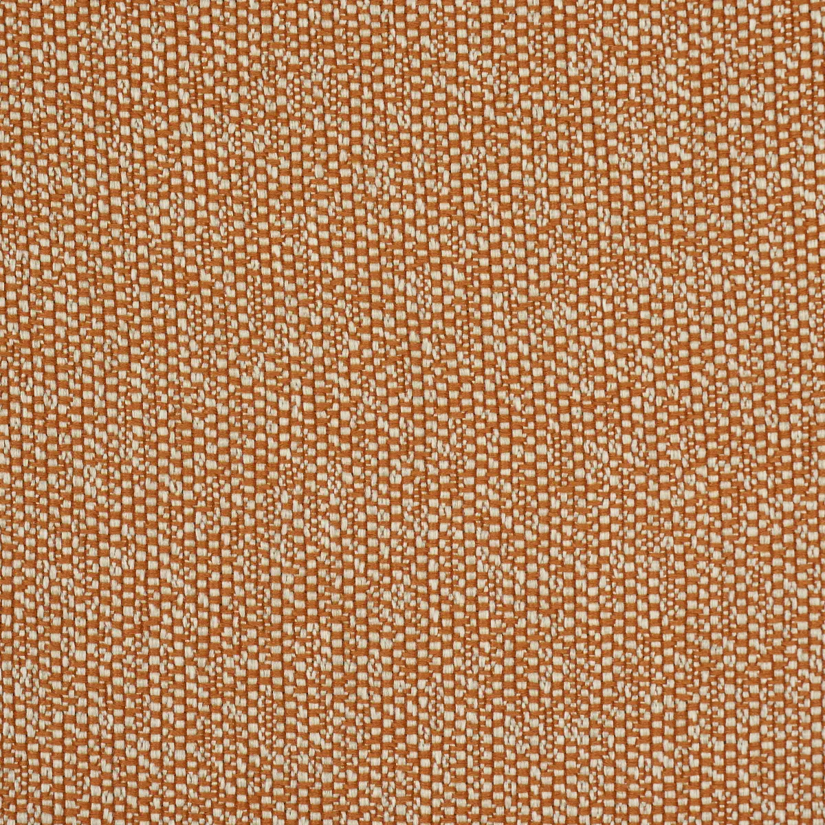 GUS INDOOR/OUTDOOR_ ORANGE
