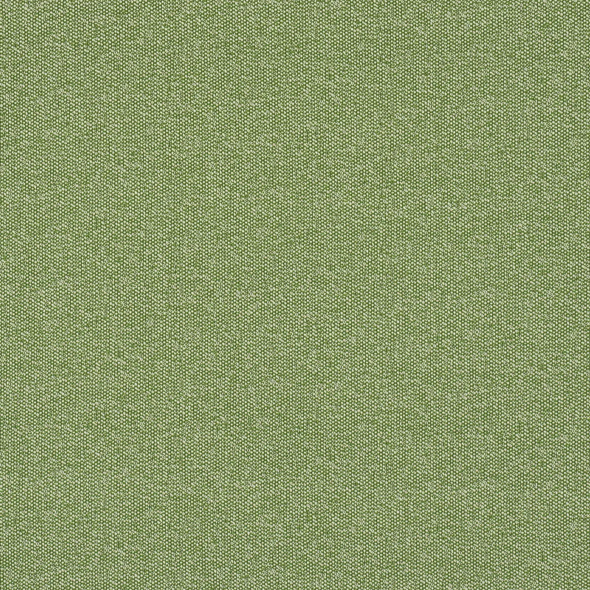 GUS INDOOR/OUTDOOR_ GRASS
