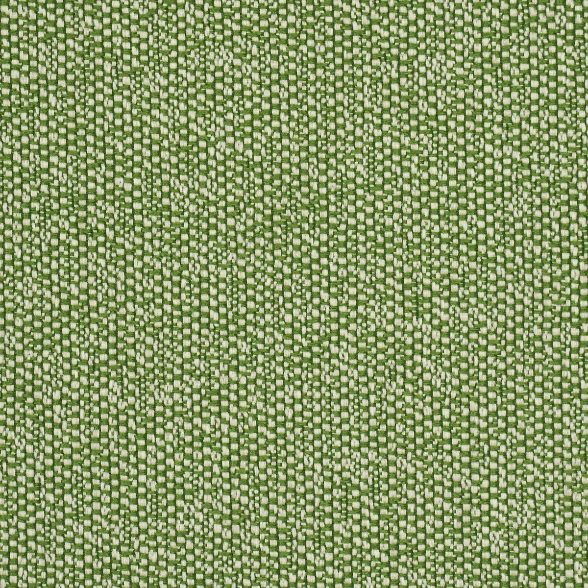GUS INDOOR/OUTDOOR_ GRASS