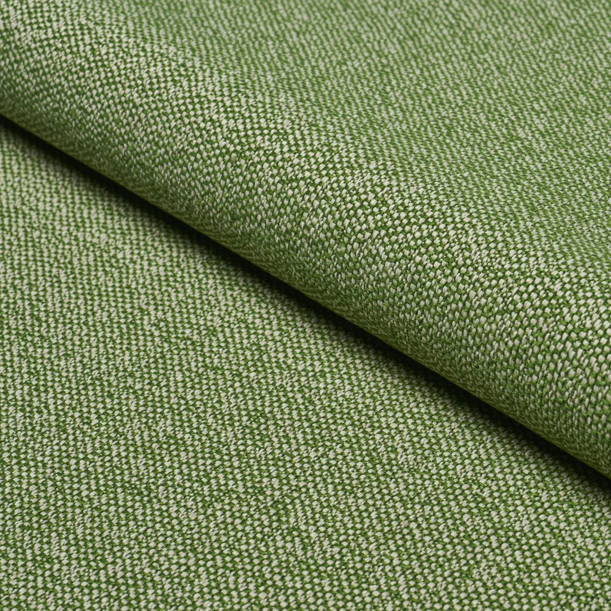 GUS INDOOR/OUTDOOR_ GRASS