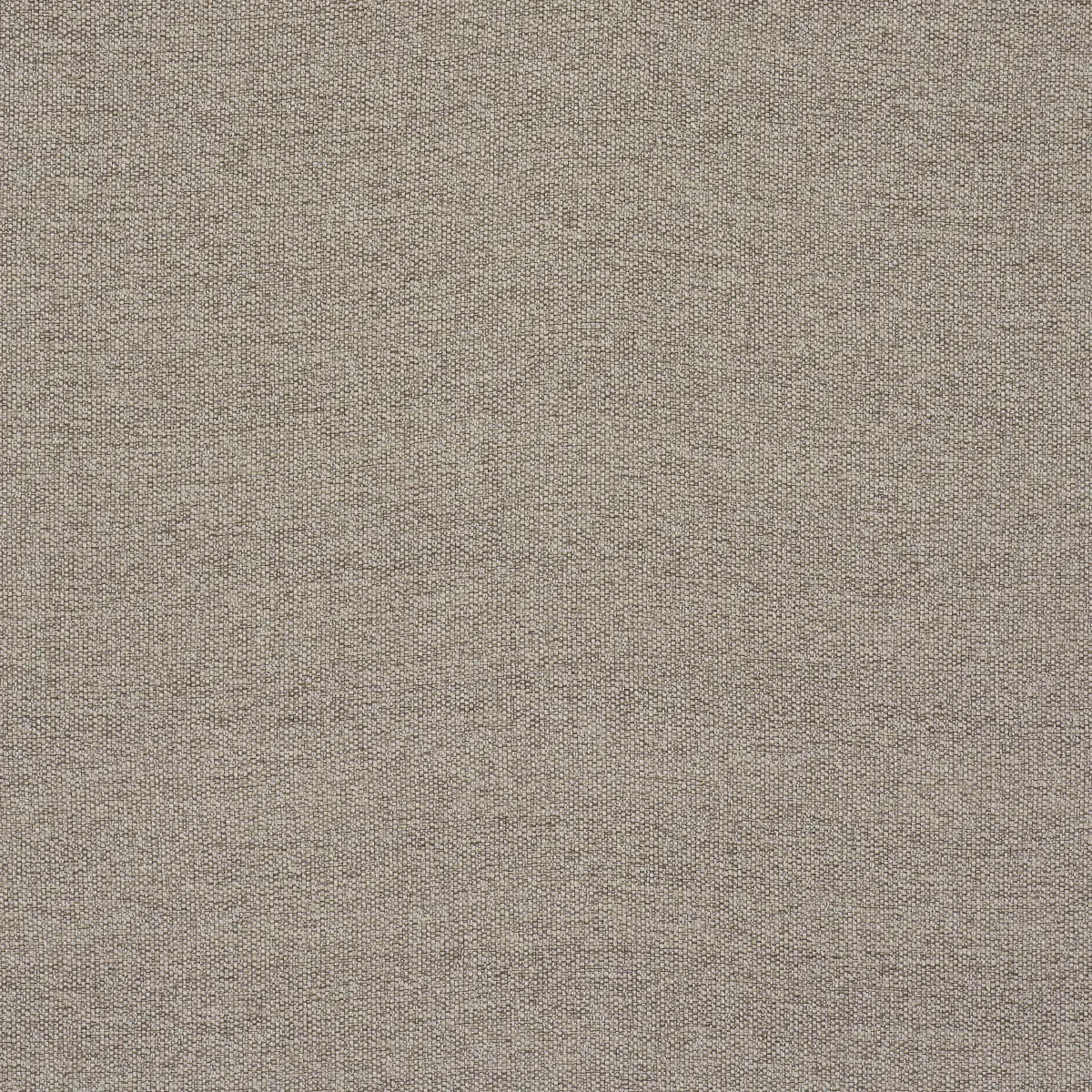 GUS INDOOR/OUTDOOR_ NATURAL
