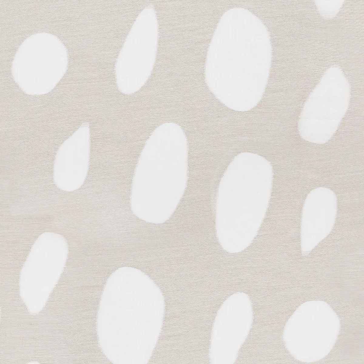 ELAINE SHEER_ BIRCH