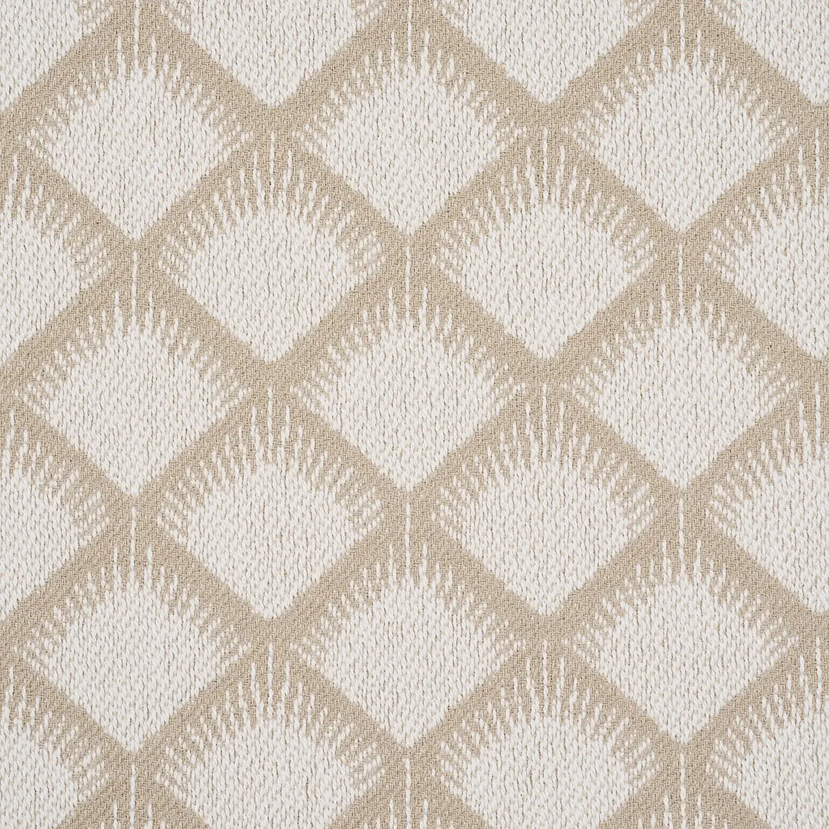MAIZE_ IVORY