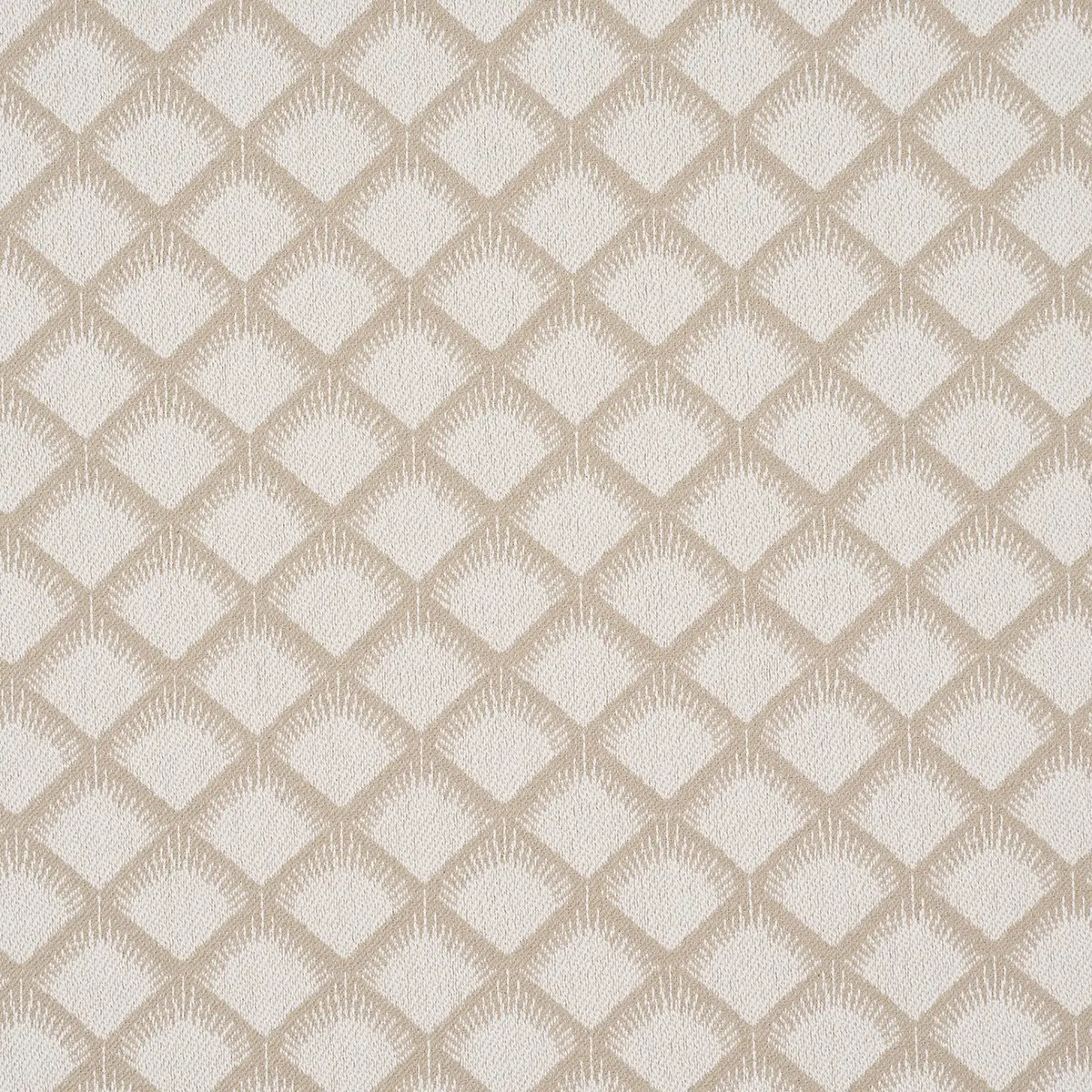 MAIZE_ IVORY