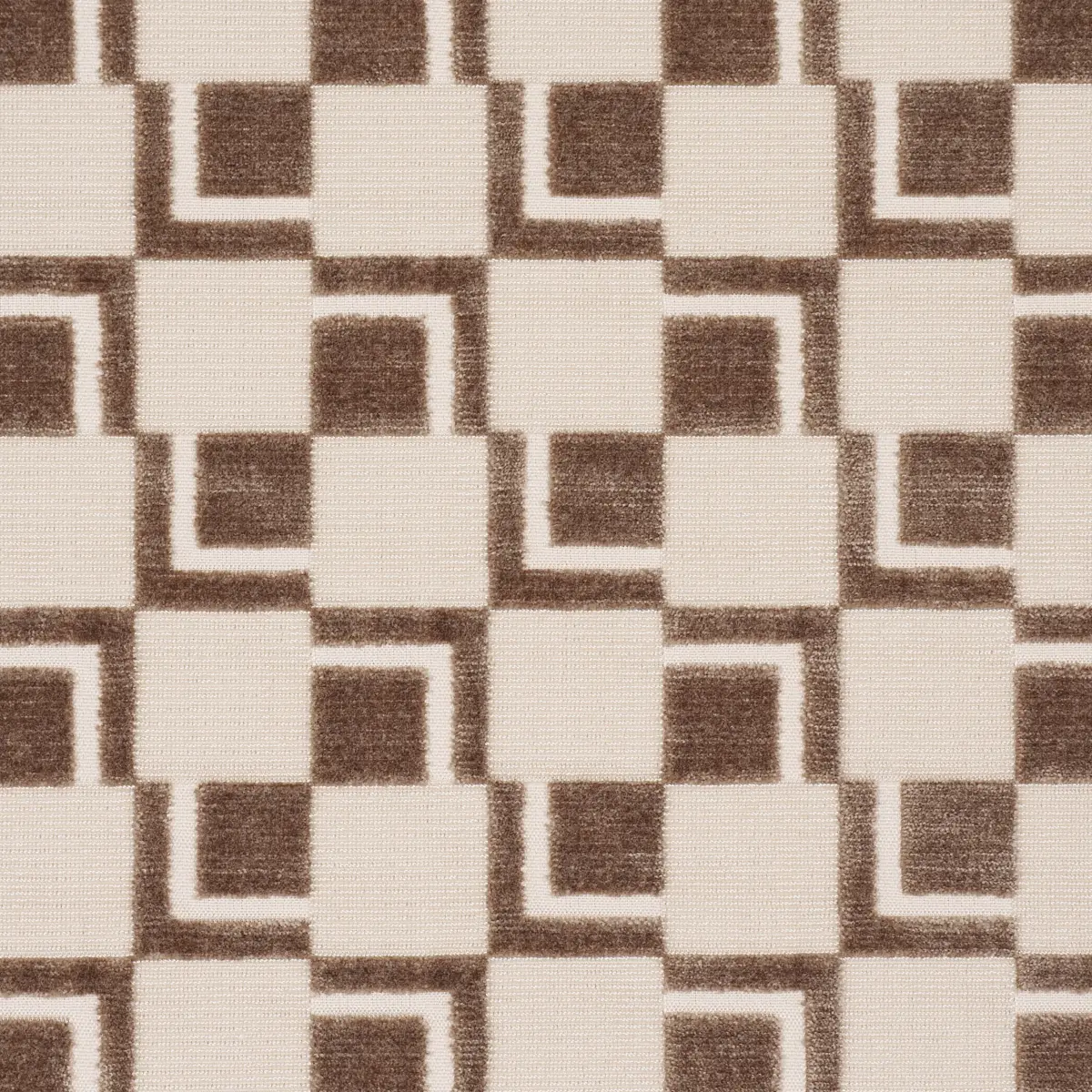 EDISON VELVET_ CHAMPAGNE