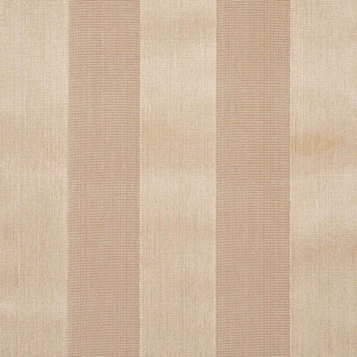 CUNARD STRIÉ VELVET_ CHAMPAGNE