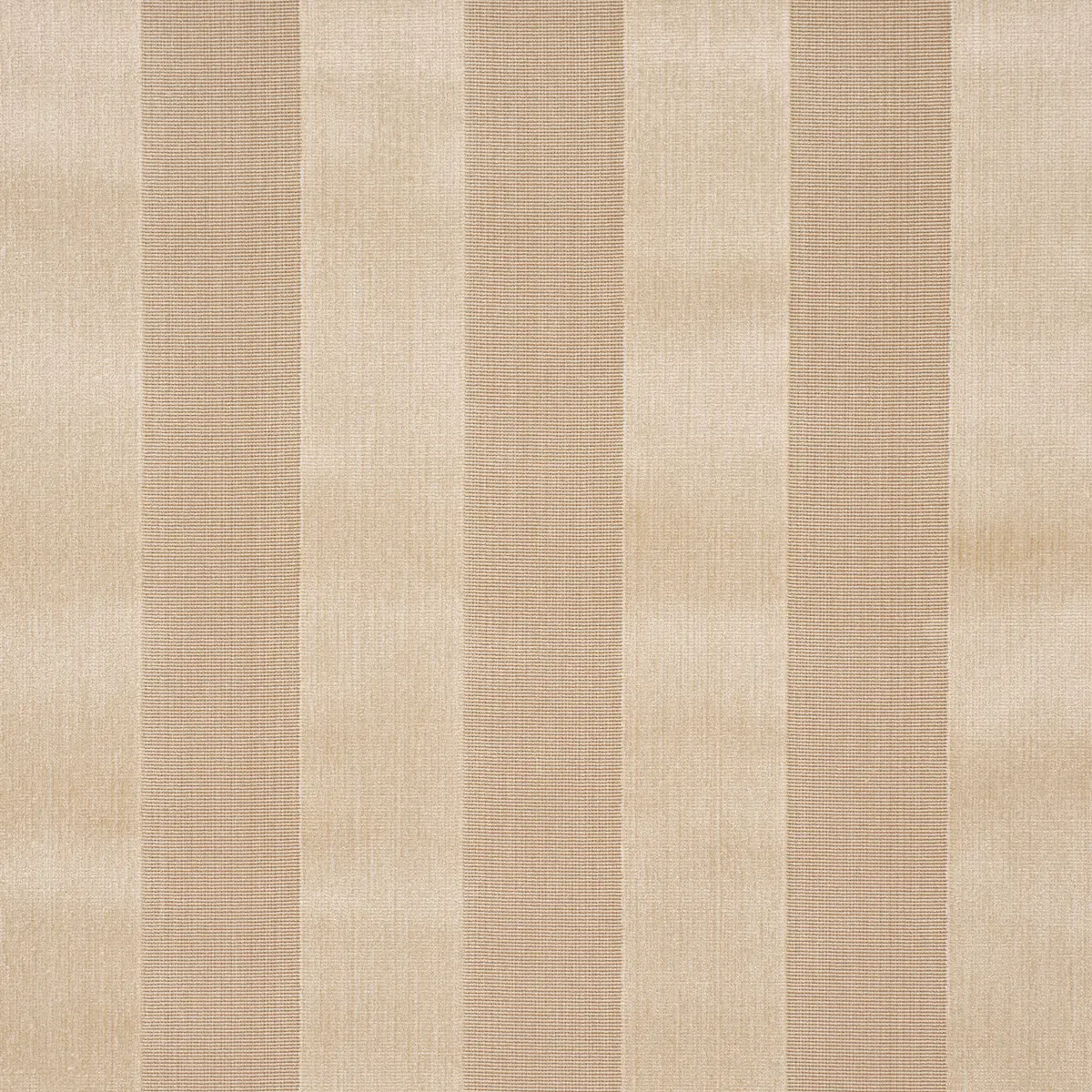 CUNARD STRIÉ VELVET_ CHAMPAGNE