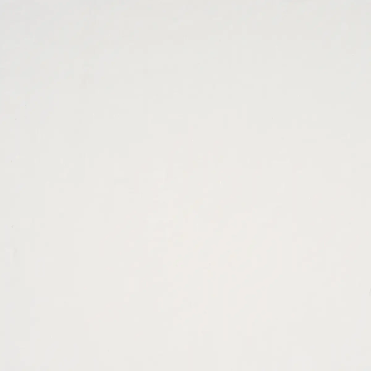 AYA SHEER_ WHITE