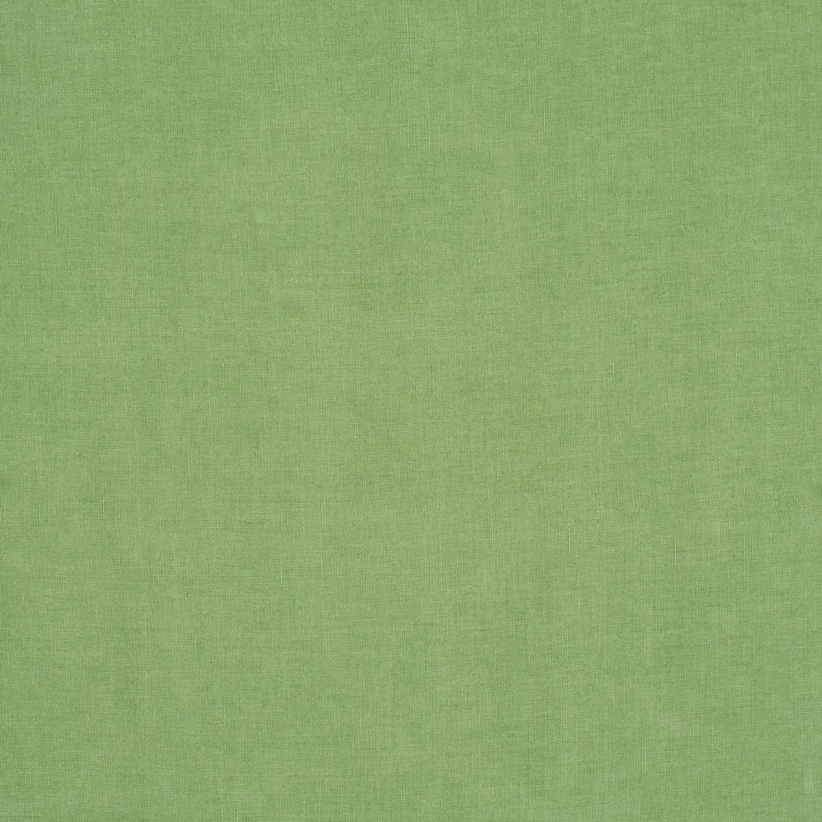 LESLIE STONEWASHED SHEER_ LEAF