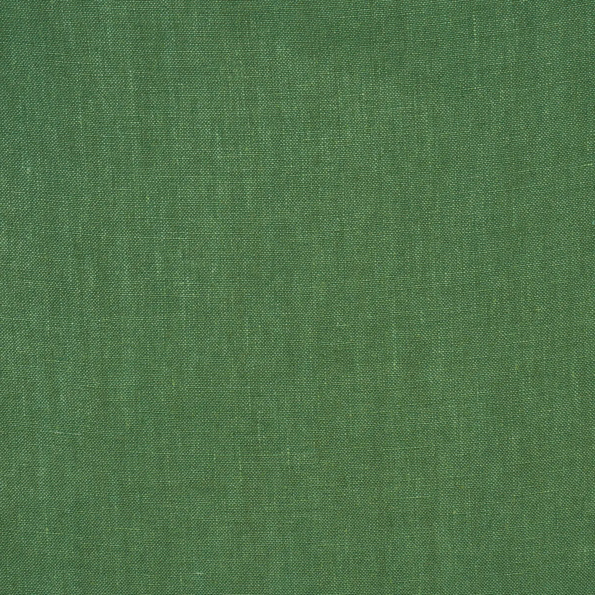 KAI LINEN_ GRASS