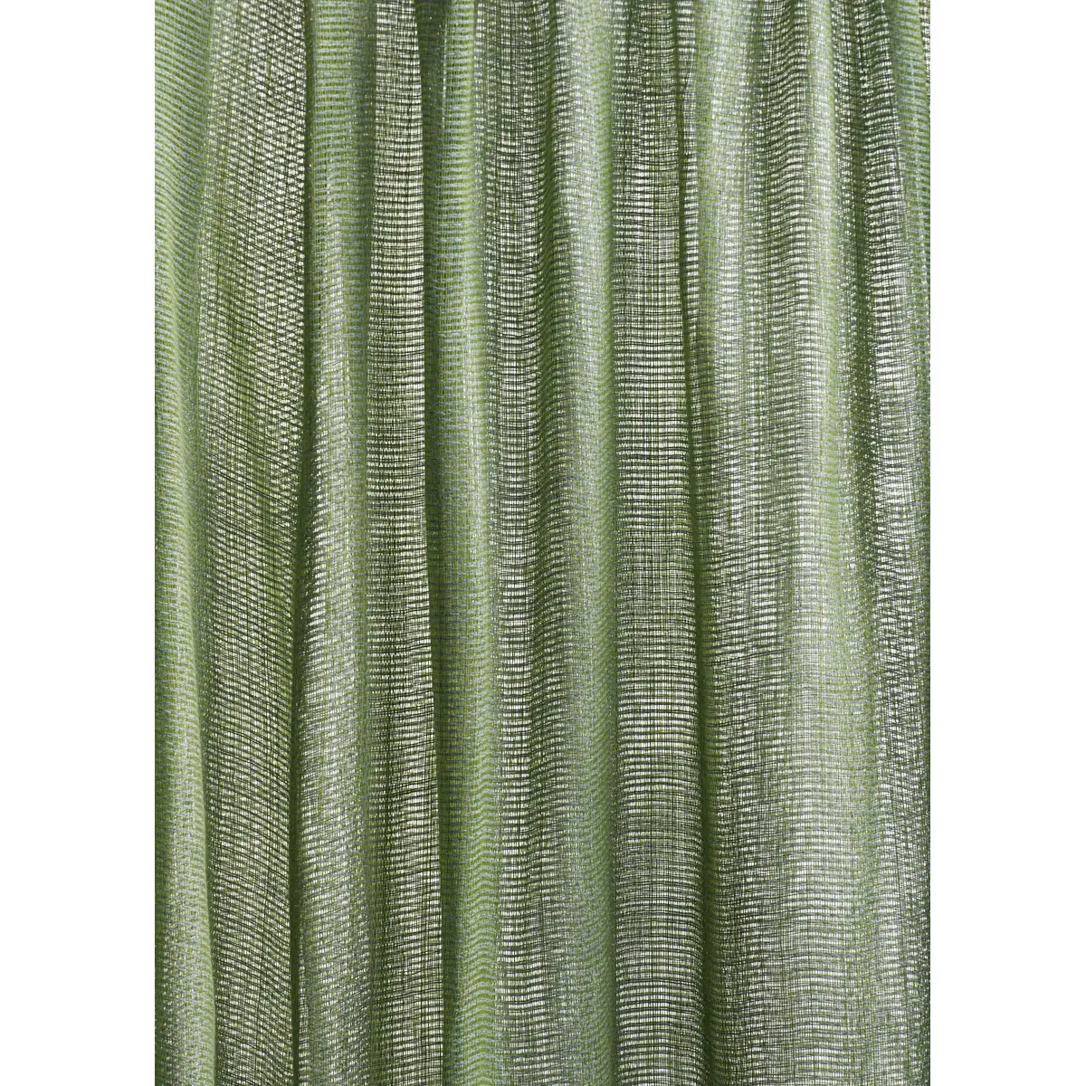 GREAT BASIN SDA SHEER_ CACTUS