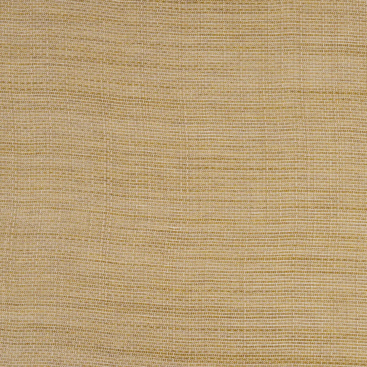 GREAT BASIN SDA SHEER_ MAIZE