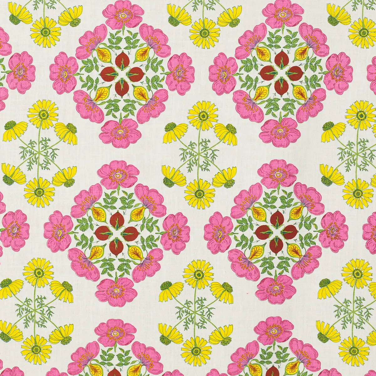 Rosa_ SPRING