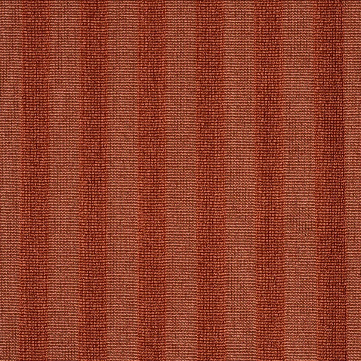 PIPE ILLUSION_ PAPAYA