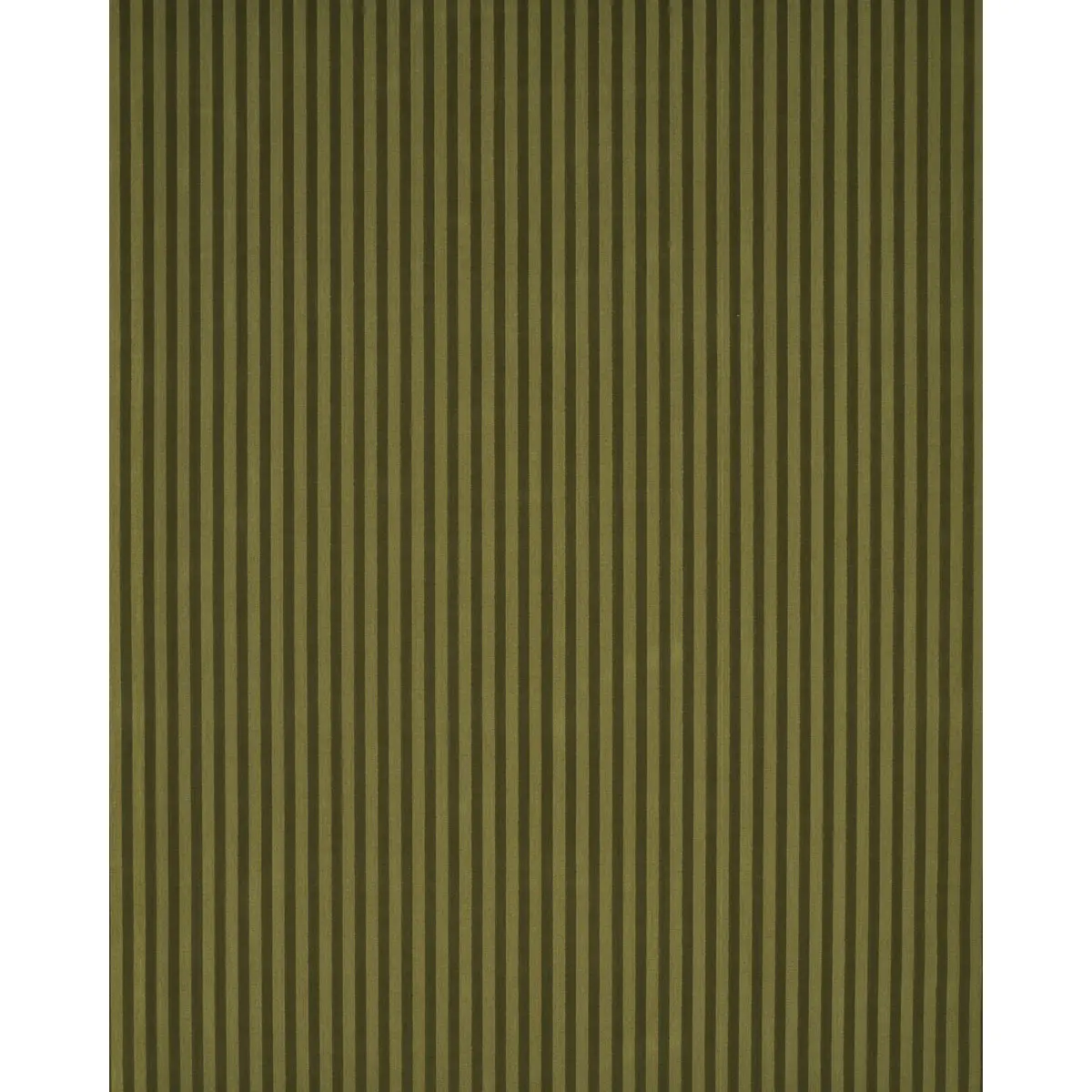 PIPE ILLUSION_ MOSS