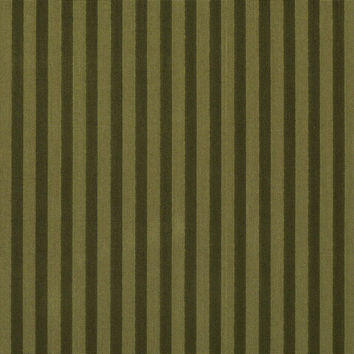 PIPE ILLUSION_ MOSS