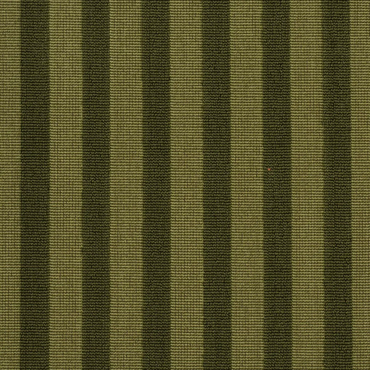 PIPE ILLUSION_ MOSS
