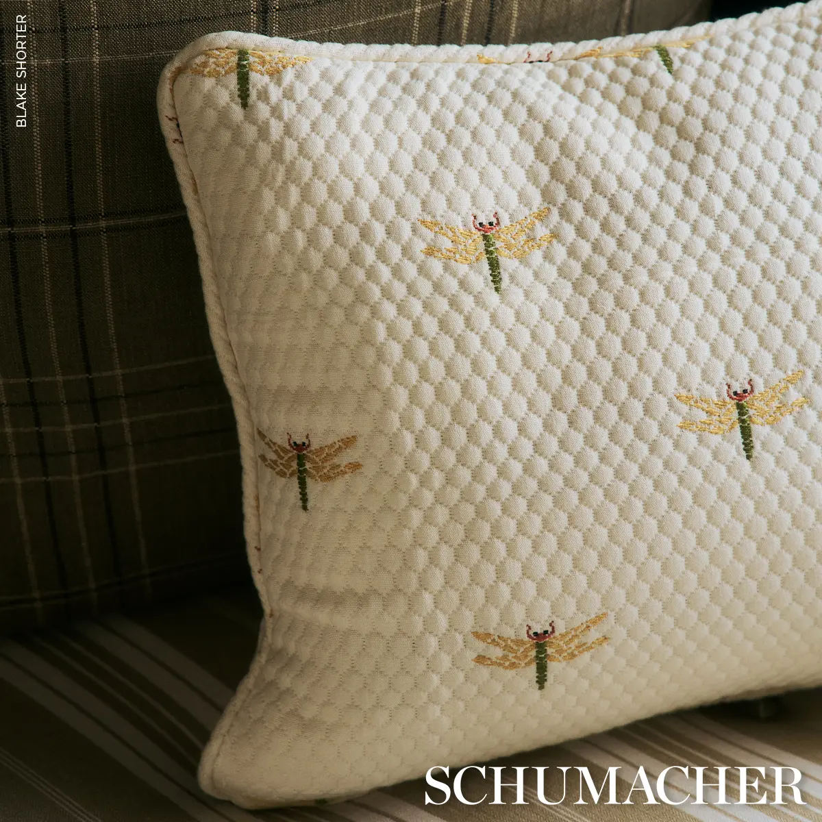 DRAGONFLIES_ OCHRE