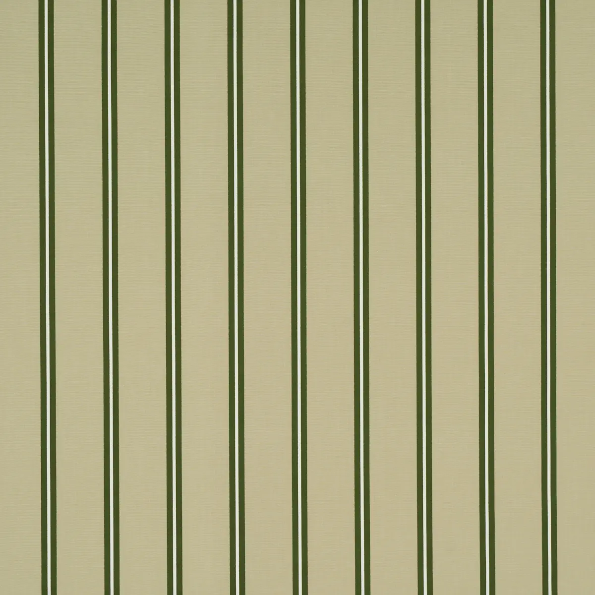 BRIONY STRIPE_ LEAF