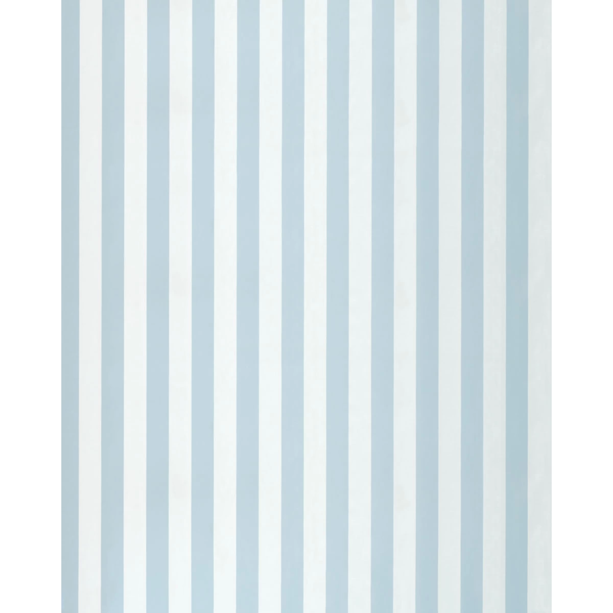 ROOSEVELT AWNING STRIPE_ ROBIN'S EGG