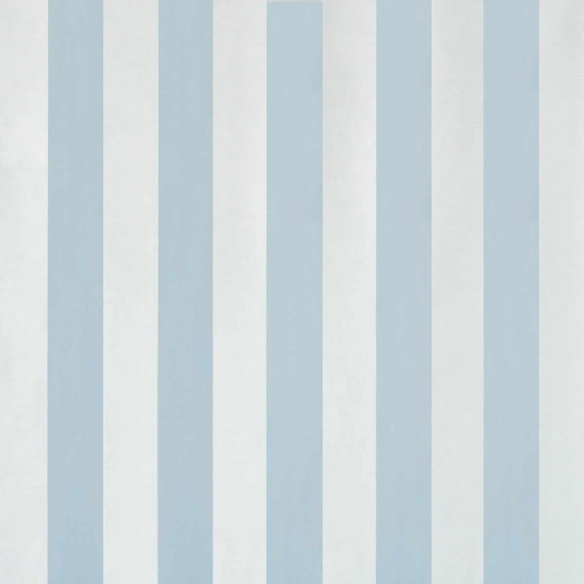 ROOSEVELT AWNING STRIPE_ ROBIN'S EGG