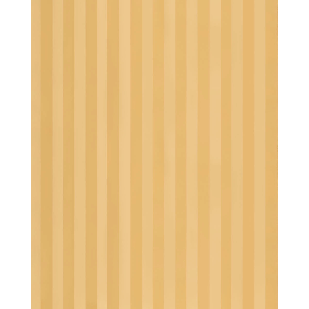 ROOSEVELT AWNING STRIPE_ GOLD