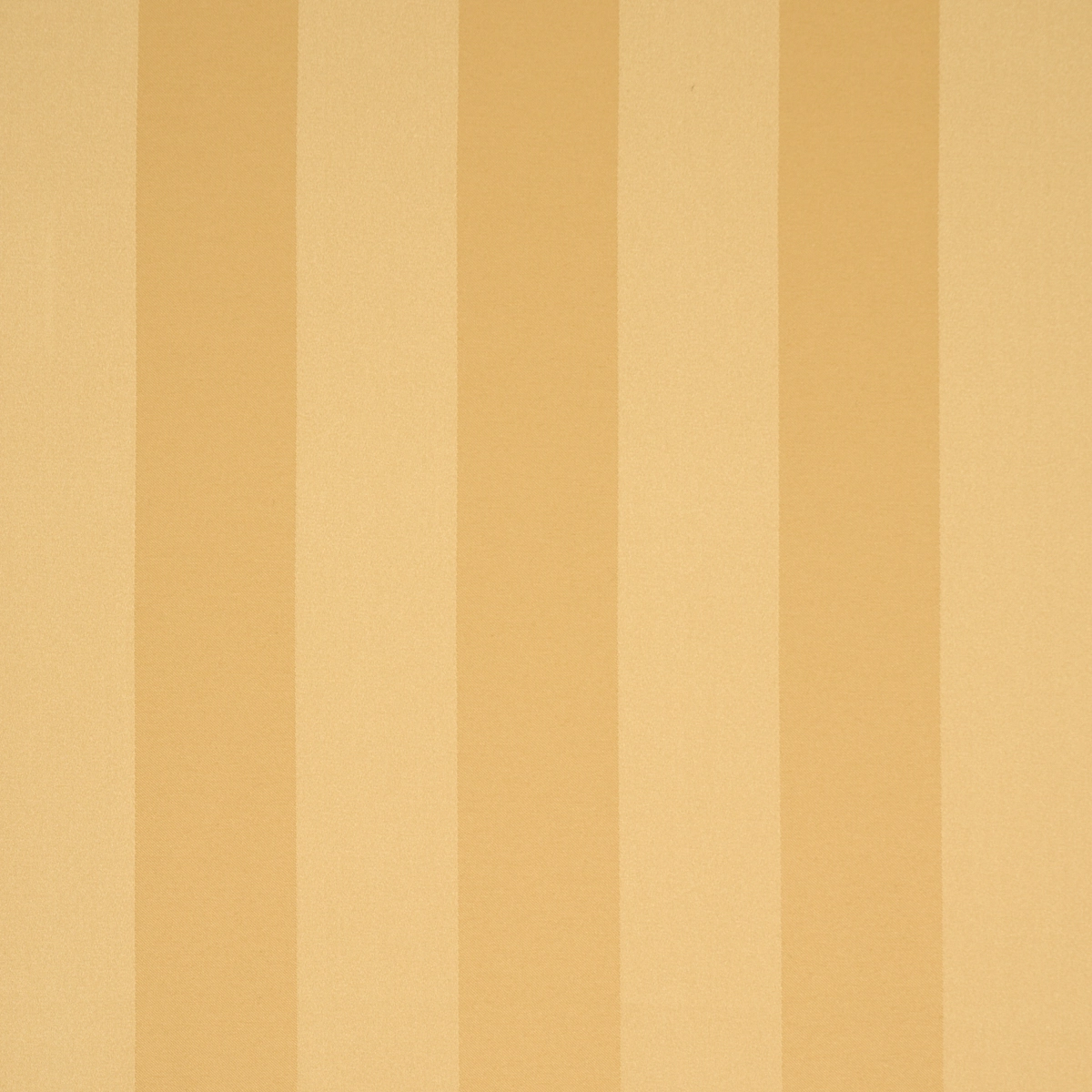 ROOSEVELT AWNING STRIPE_ GOLD