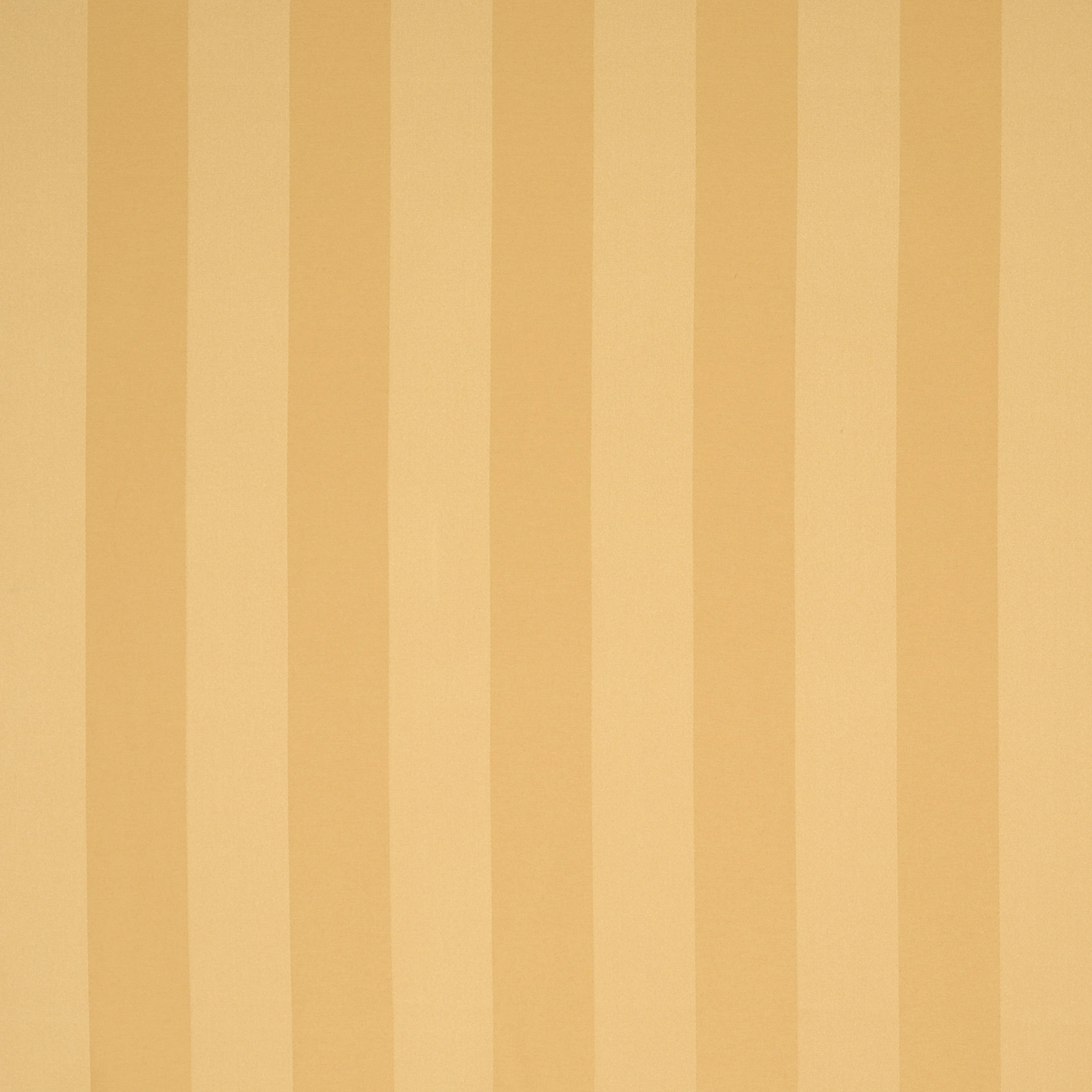 ROOSEVELT AWNING STRIPE_ GOLD