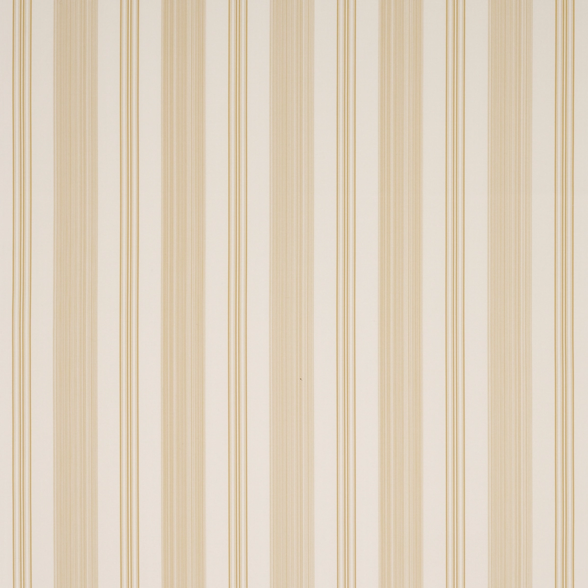 JEFFERSON TENTED STRIPE_ YELLOW