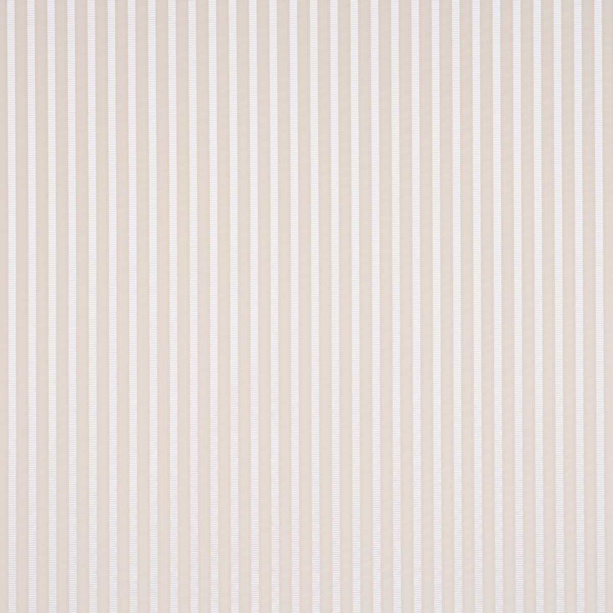 LINCOLN SMALL STRIPE_ IVORY