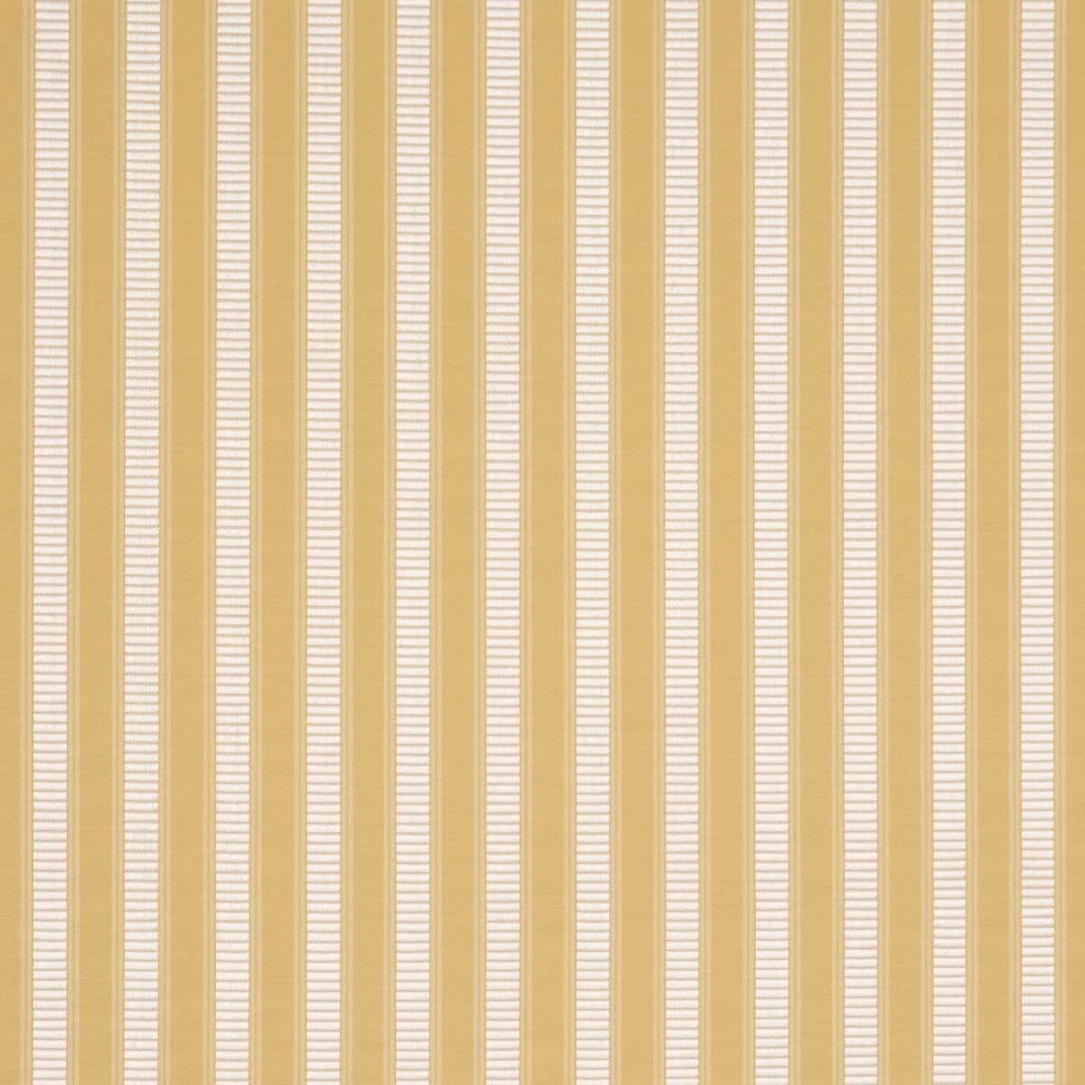 LINCOLN SMALL STRIPE_ YELLOW