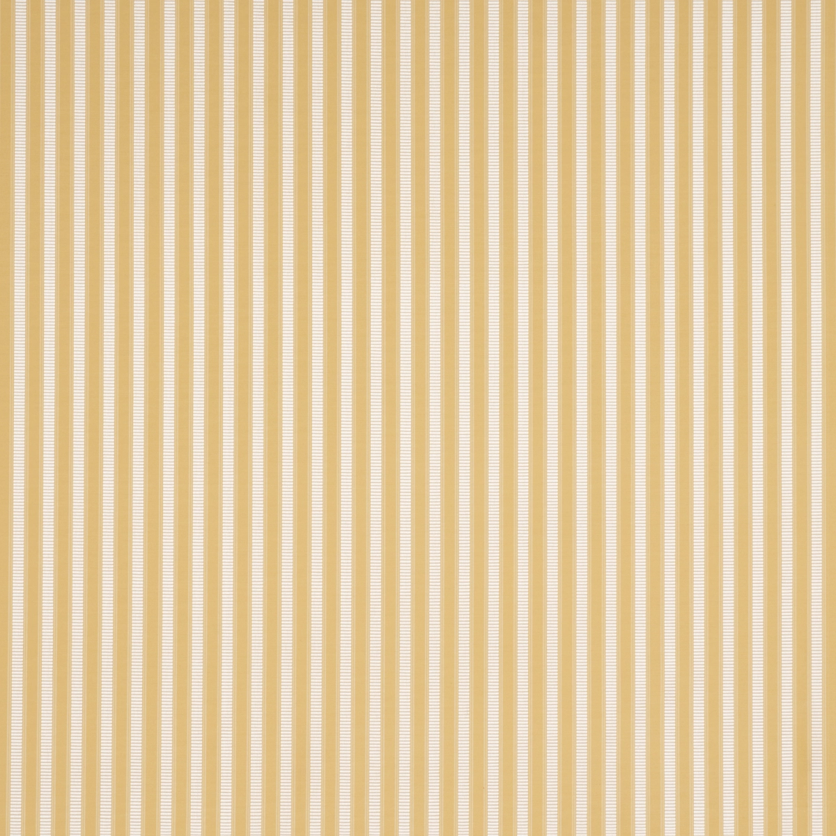 LINCOLN SMALL STRIPE_ YELLOW