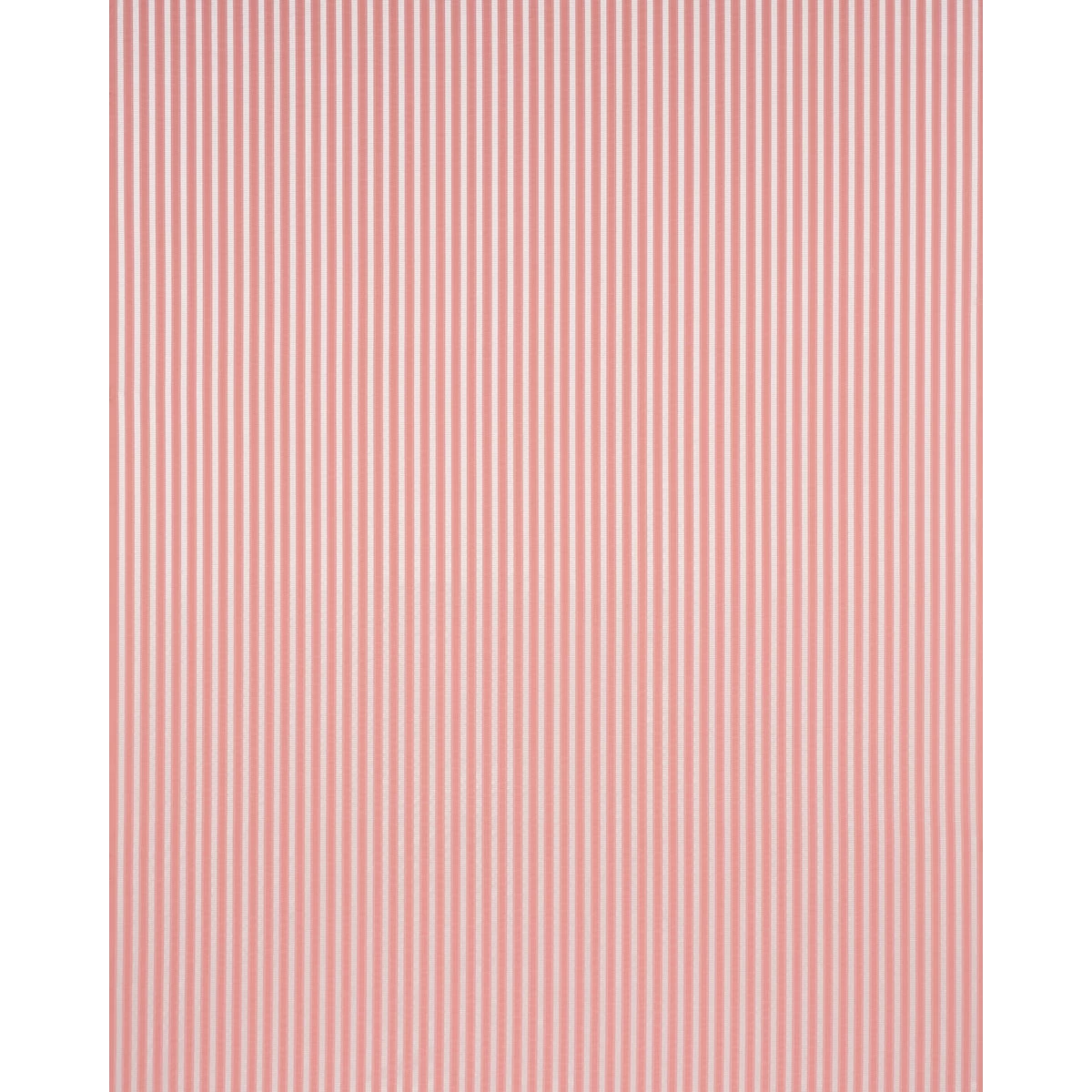 LINCOLN SMALL STRIPE_ PINK