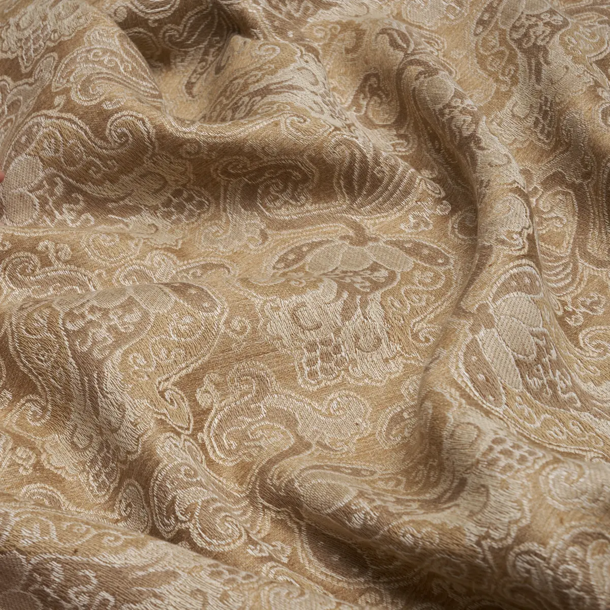 TULIPANO_ CARAMEL