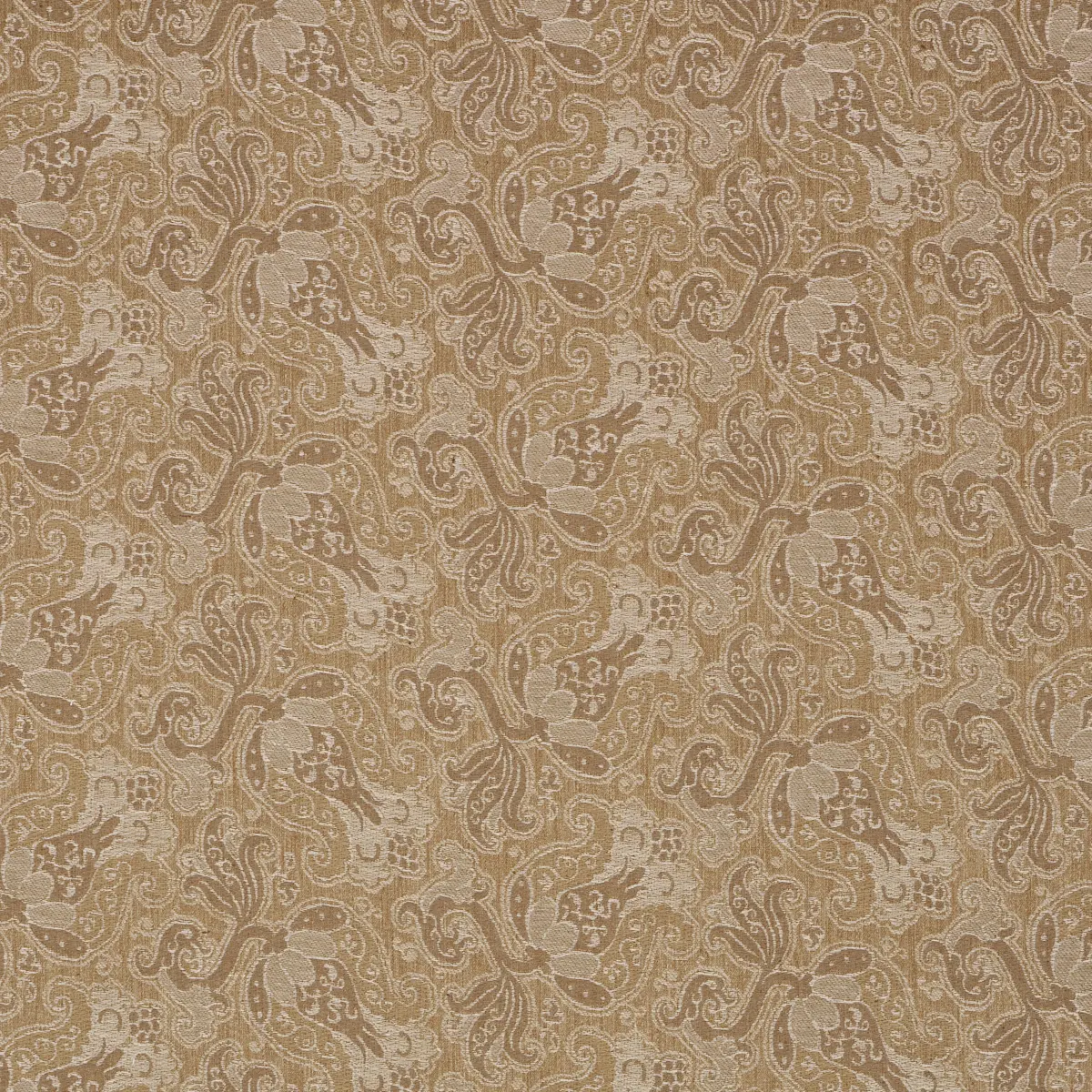 TULIPANO_ CARAMEL