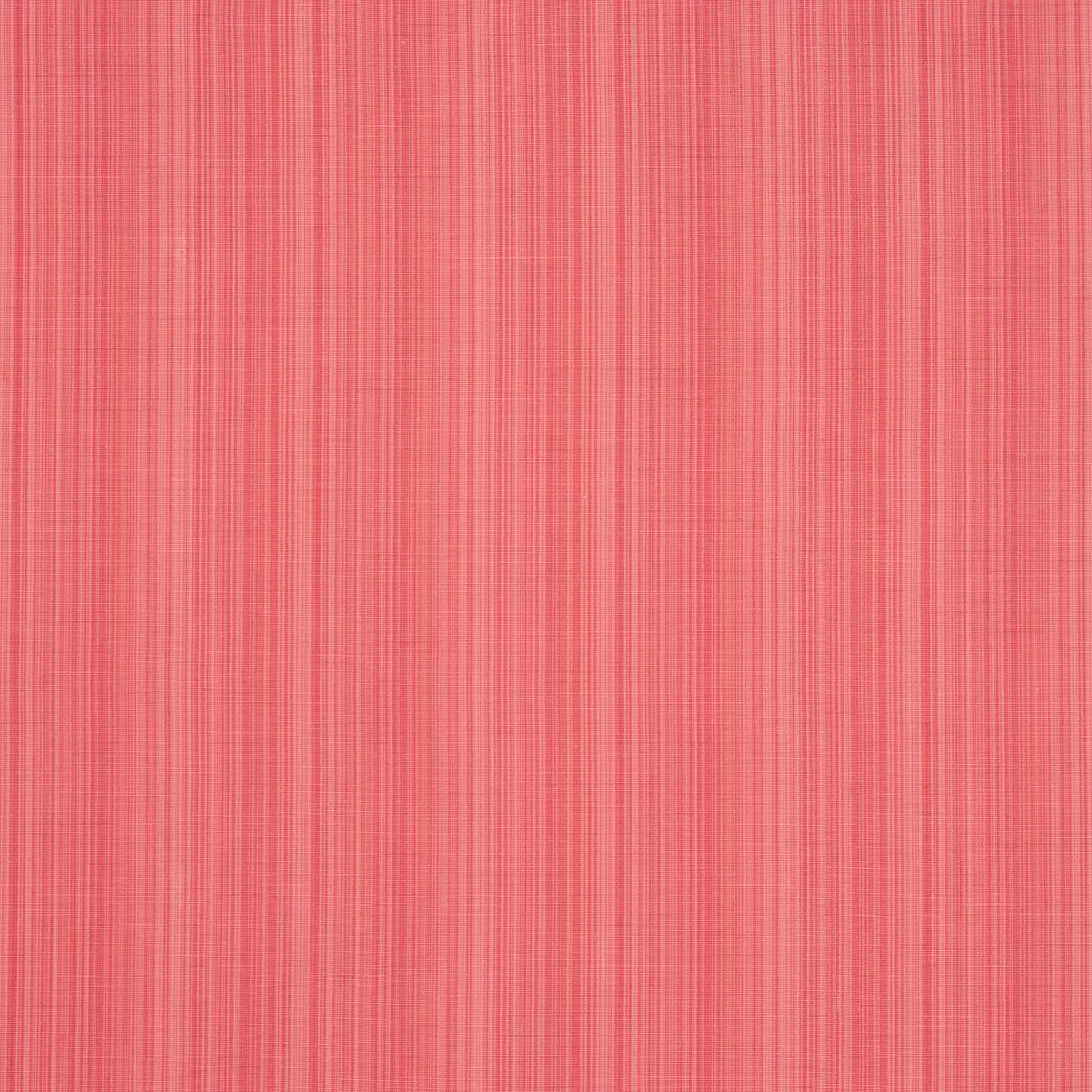 GRACIE SOLID STRIÉ_ CORAL