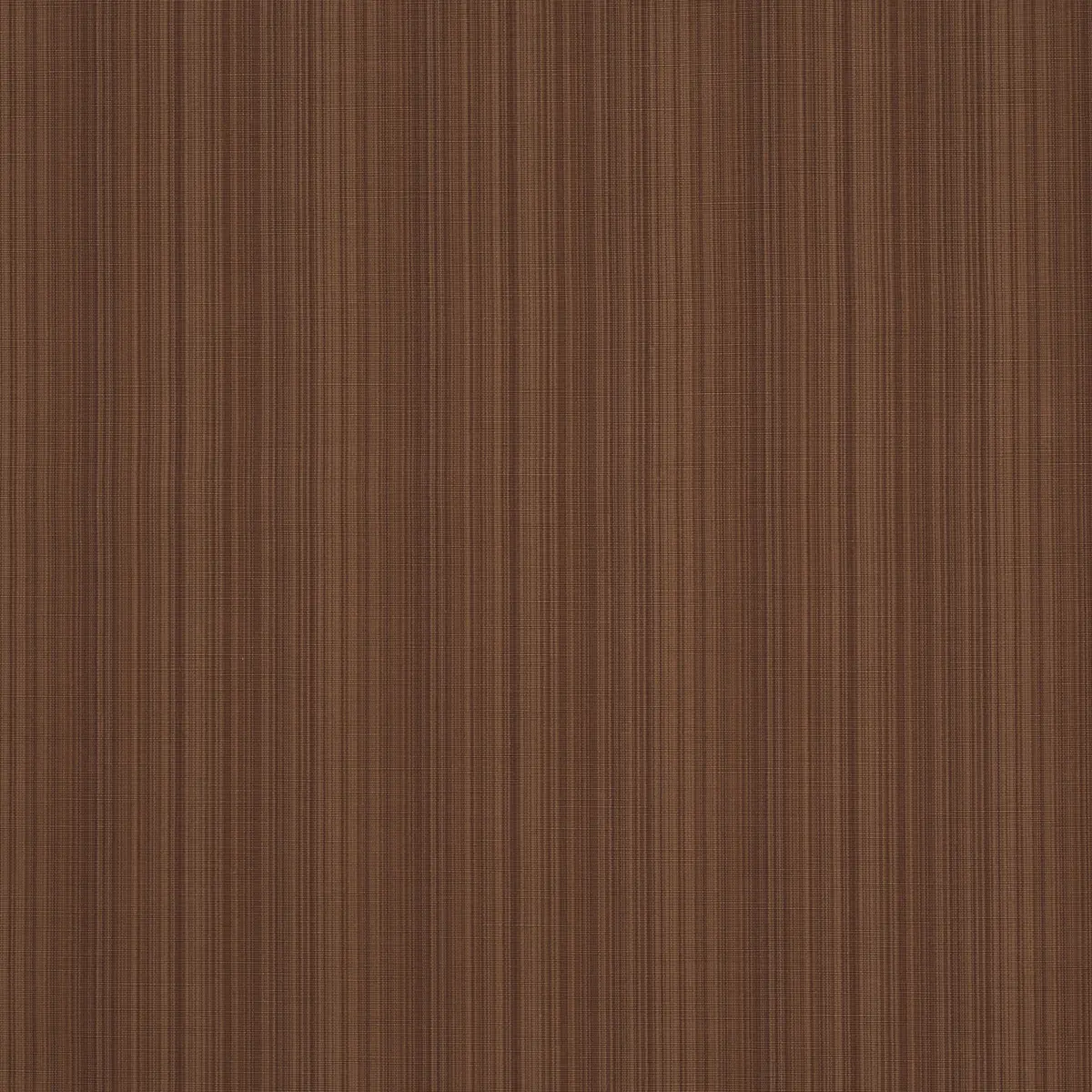 GRACIE SOLID STRIÉ_ BROWN