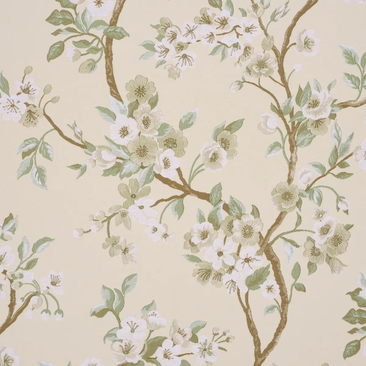 CHERRY BLOSSOM_ CITRON