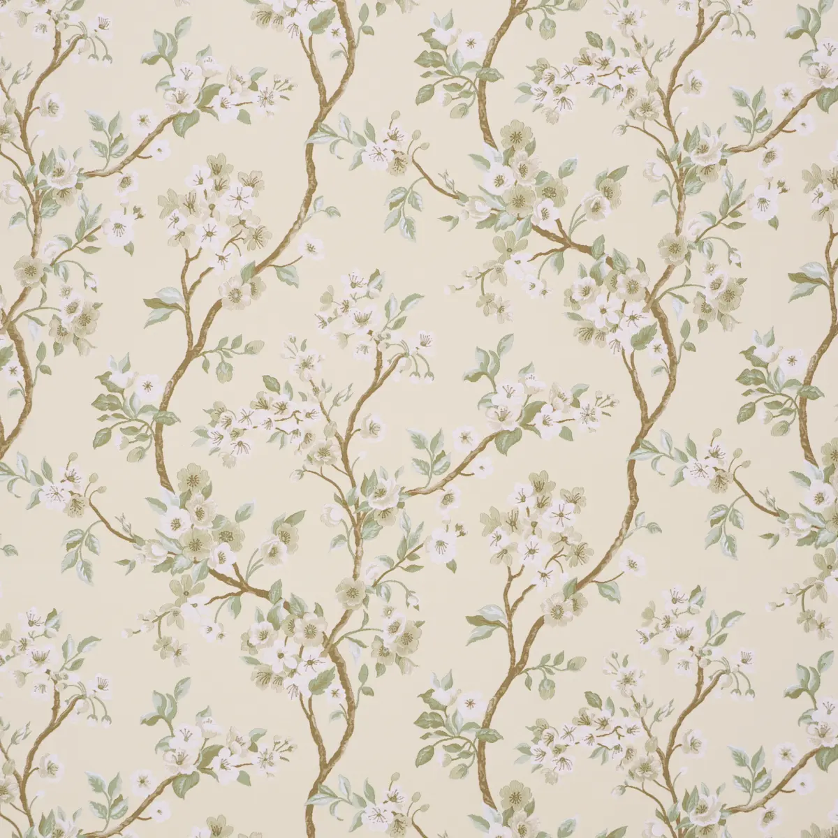 CHERRY BLOSSOM_ CITRON