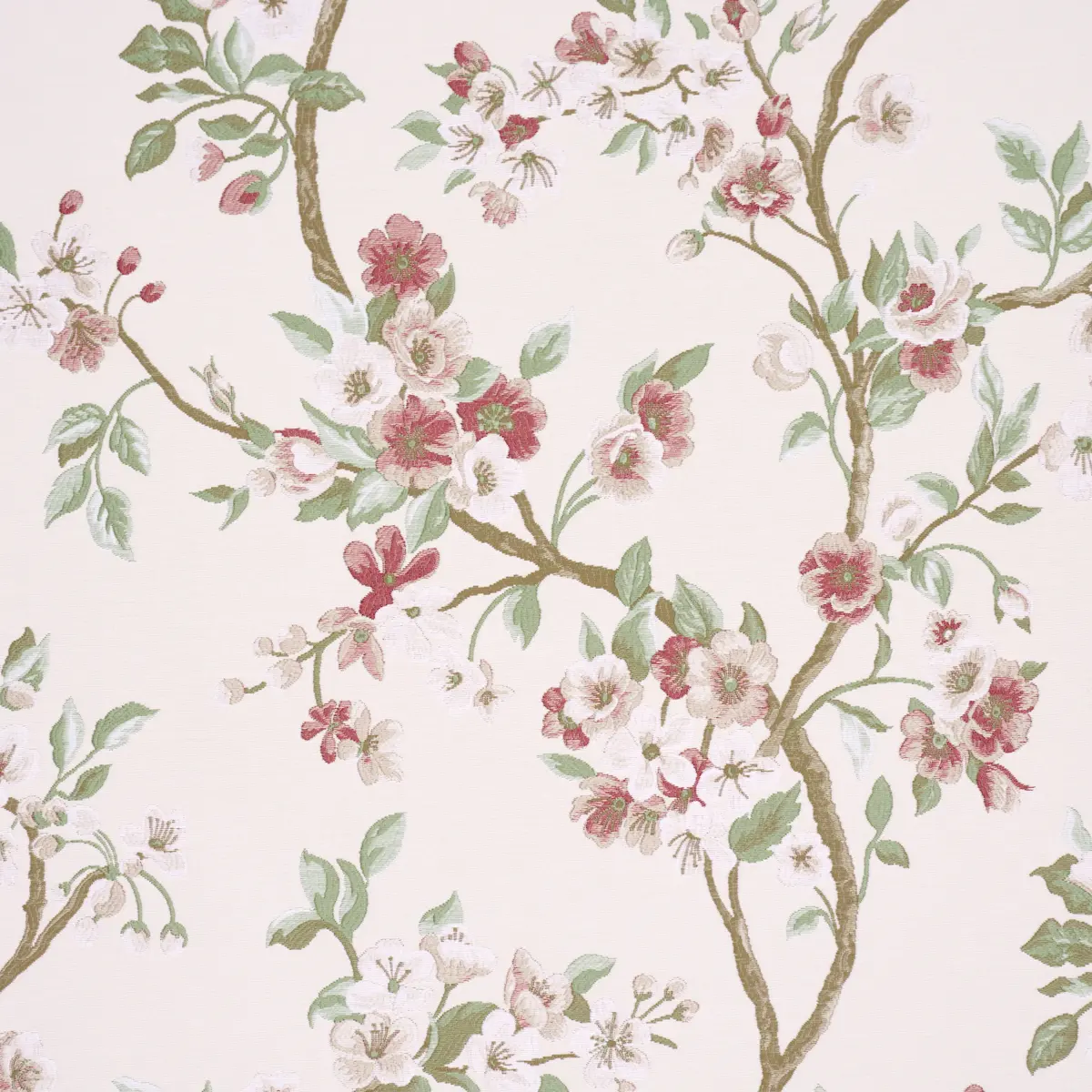 CHERRY BLOSSOM_ CHERRY