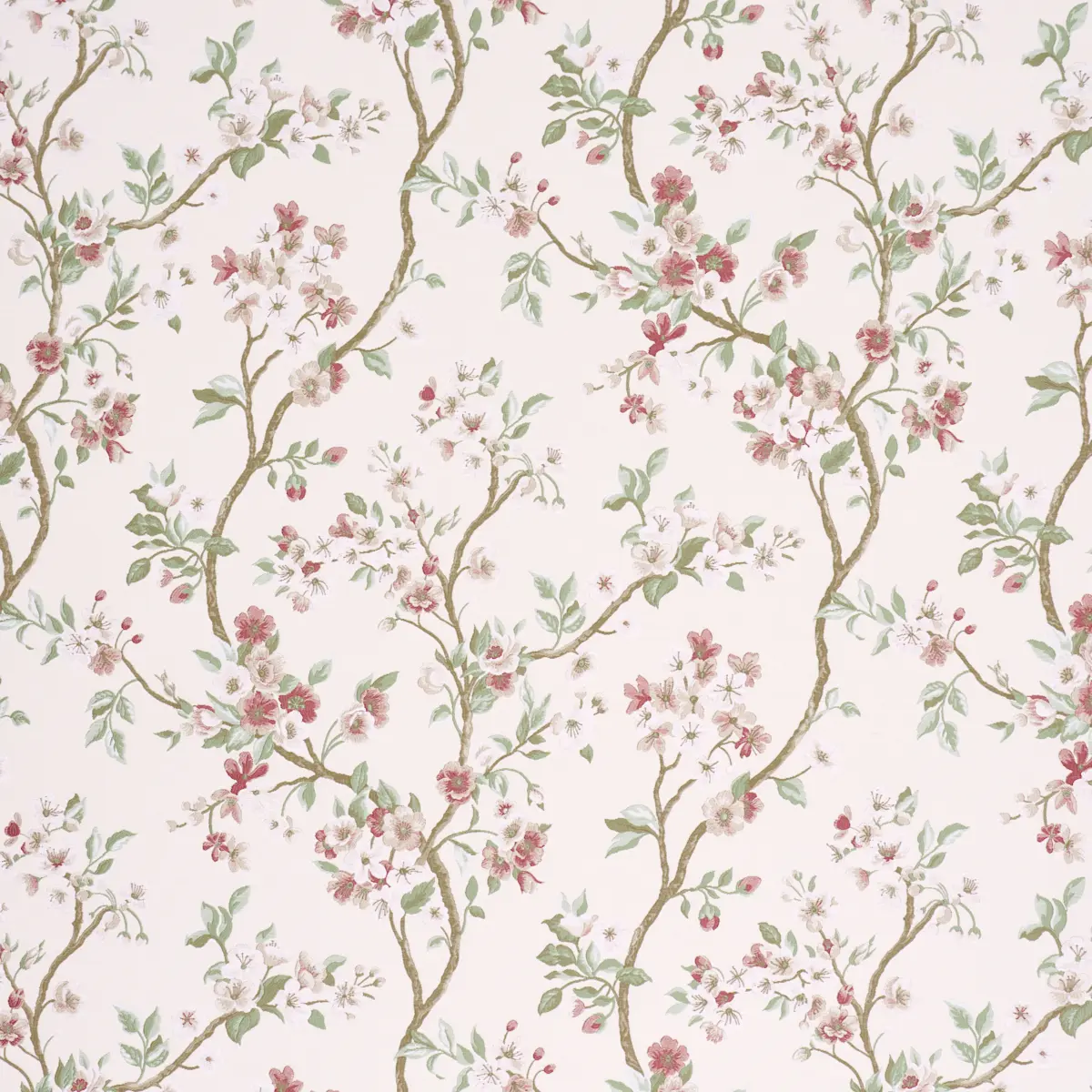 CHERRY BLOSSOM_ CHERRY