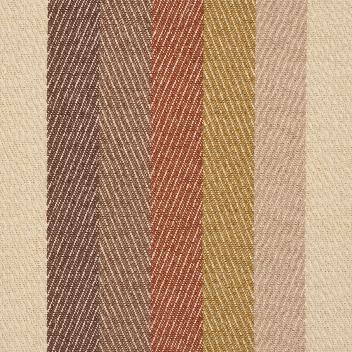 DANCING STRIPE_ CEDAR