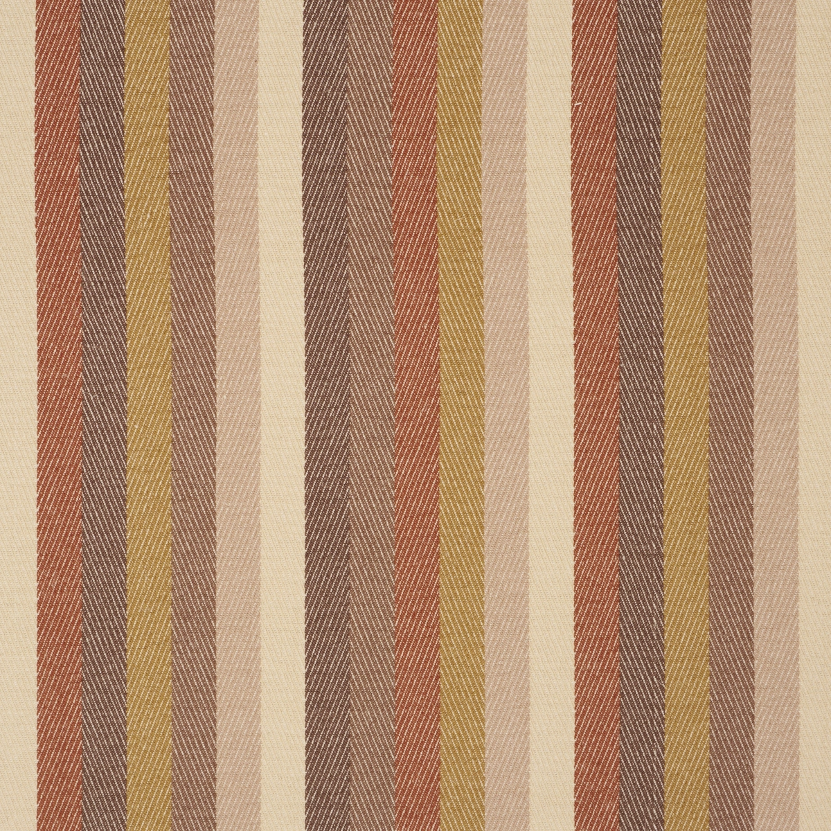 DANCING STRIPE_ CEDAR