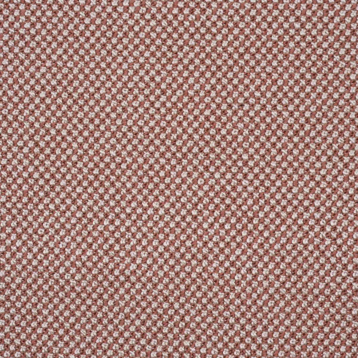RAYE PERFORMANCE_ TERRACOTTA